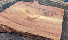 Load image into Gallery viewer, Wych elm 60cm x 45cm