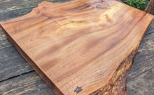 Load image into Gallery viewer, Wych elm 60cm x 45cm