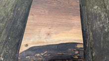 Load image into Gallery viewer, English Walnut 36cm x 36cm
