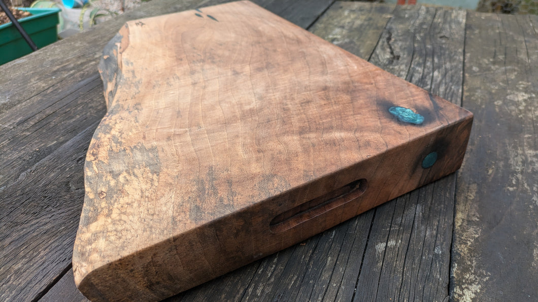 English Walnut with turquoise highlights