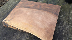 English Walnut 51cm x 43cm